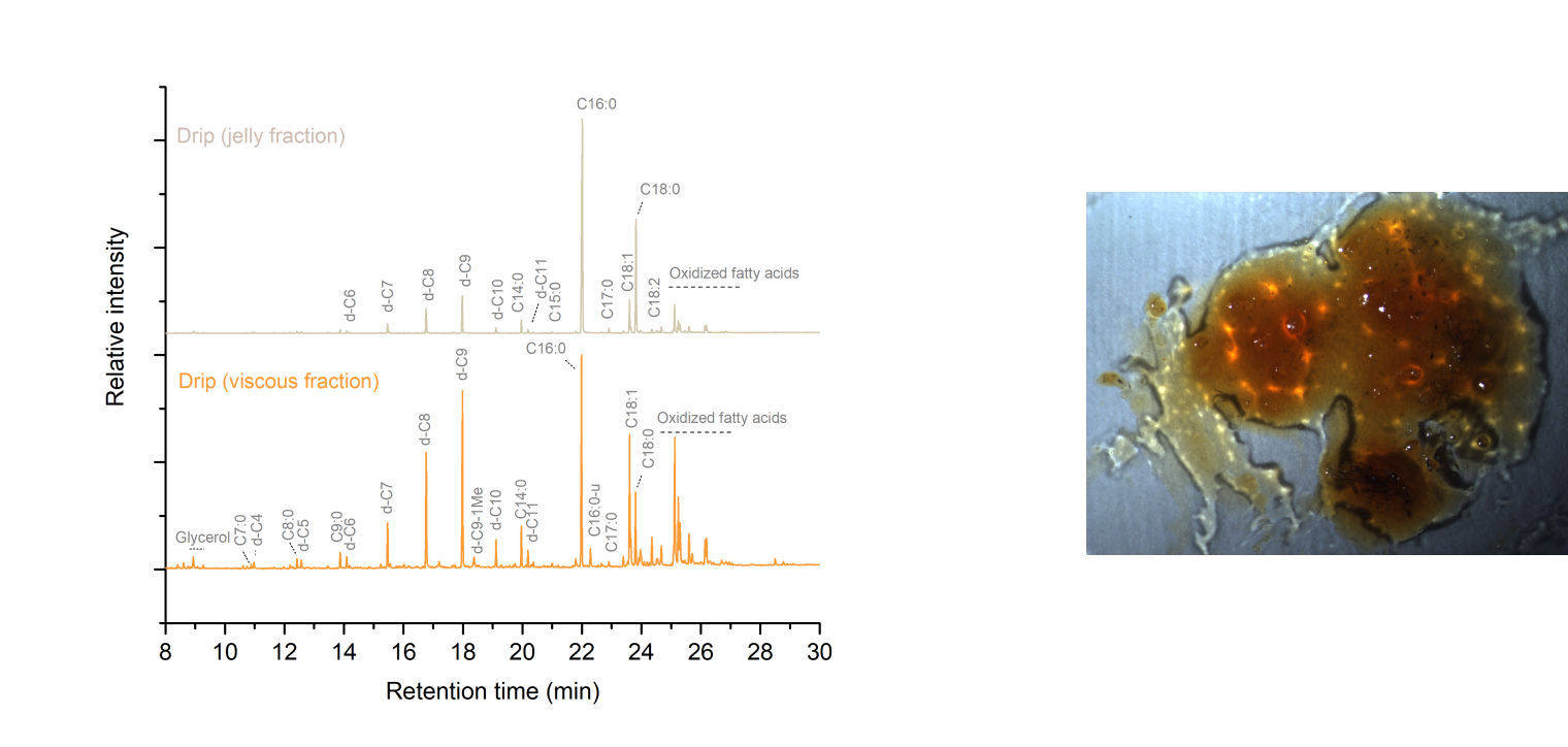 Composition image: on the left a graph charts the relationship between retention time (x) and relative intensity (y) for drip jelly and viscous fractions, and on the right a close-up view of golden-colored residue. 