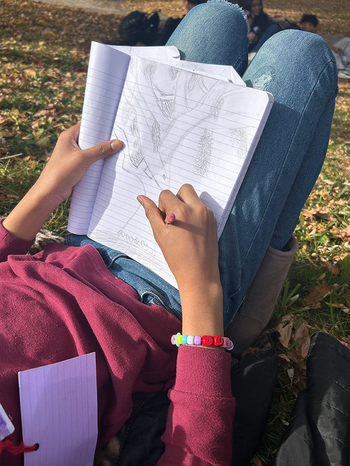 A child sketches a tree while laying in the grass.
